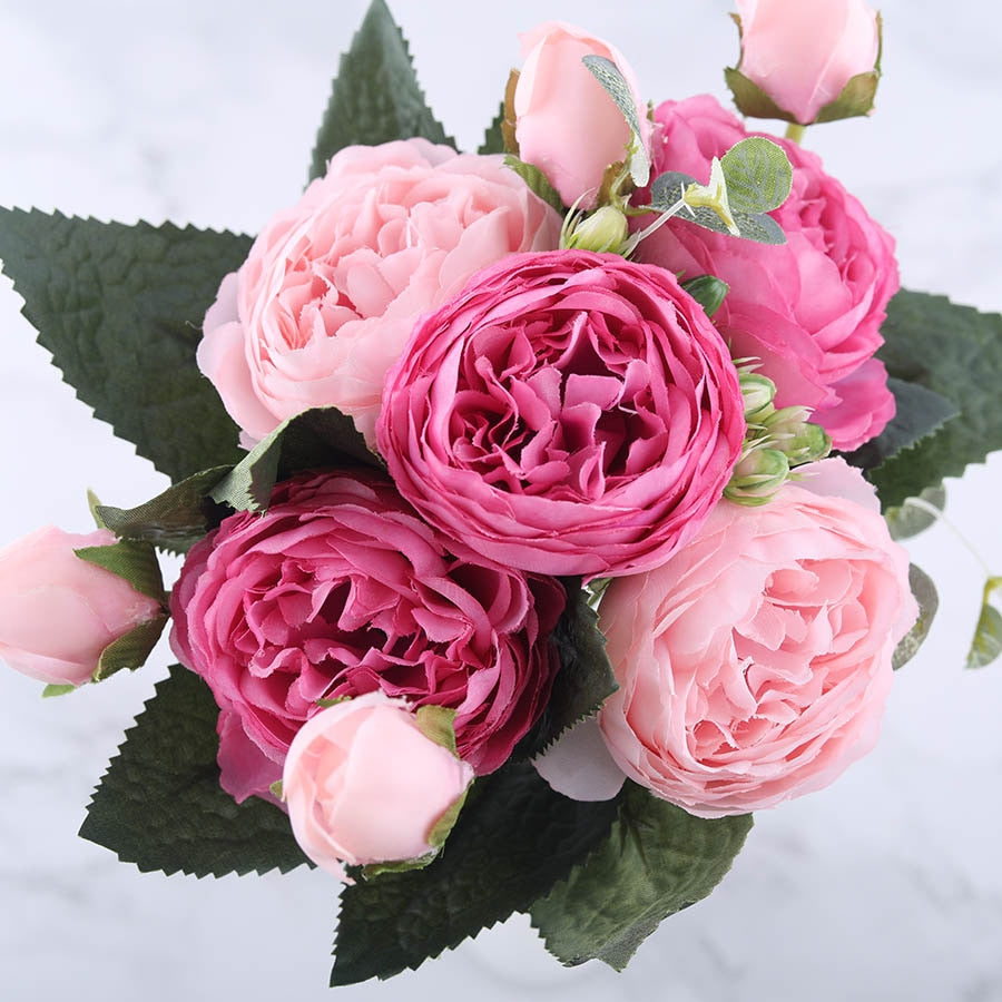 Pivoines Paeonia Lactiflora Roses et Roses Pâle