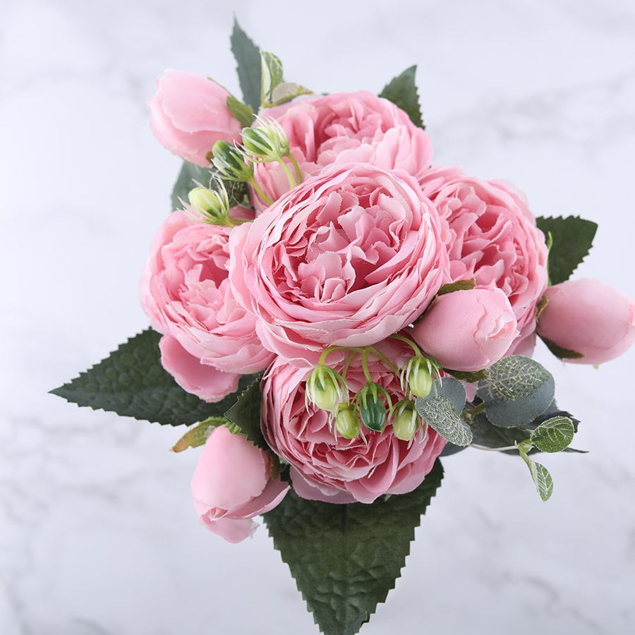 Pivoines Paeonia Lactiflora Roses Pâle