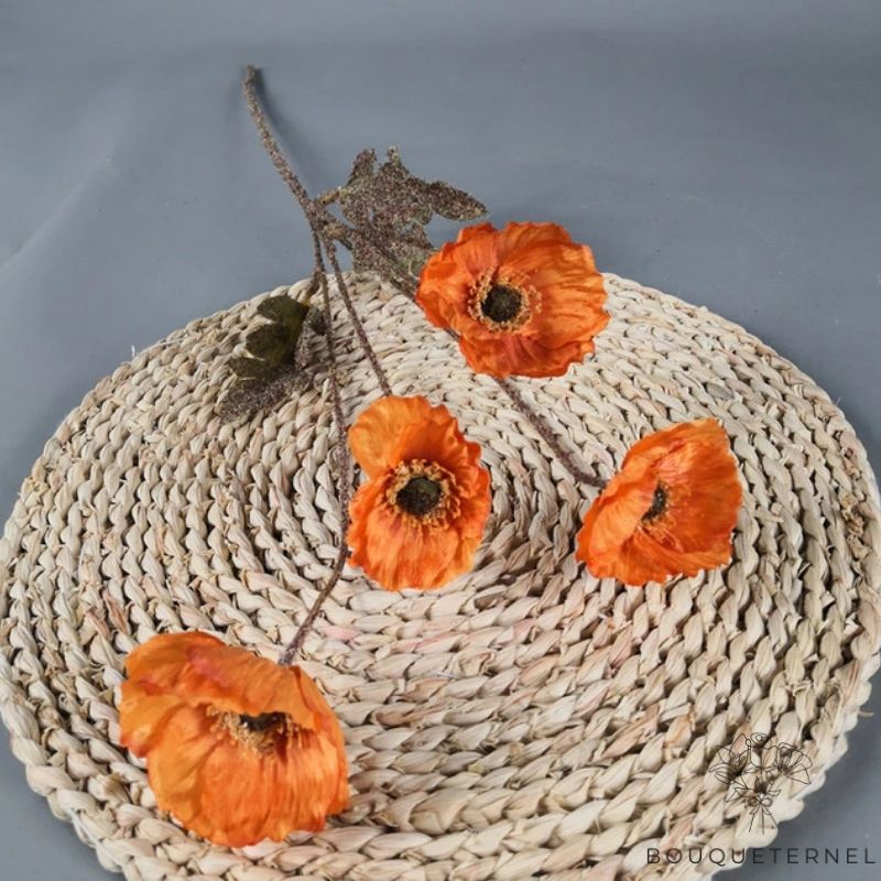 Coquelicots Strigosum Artificiels Orange