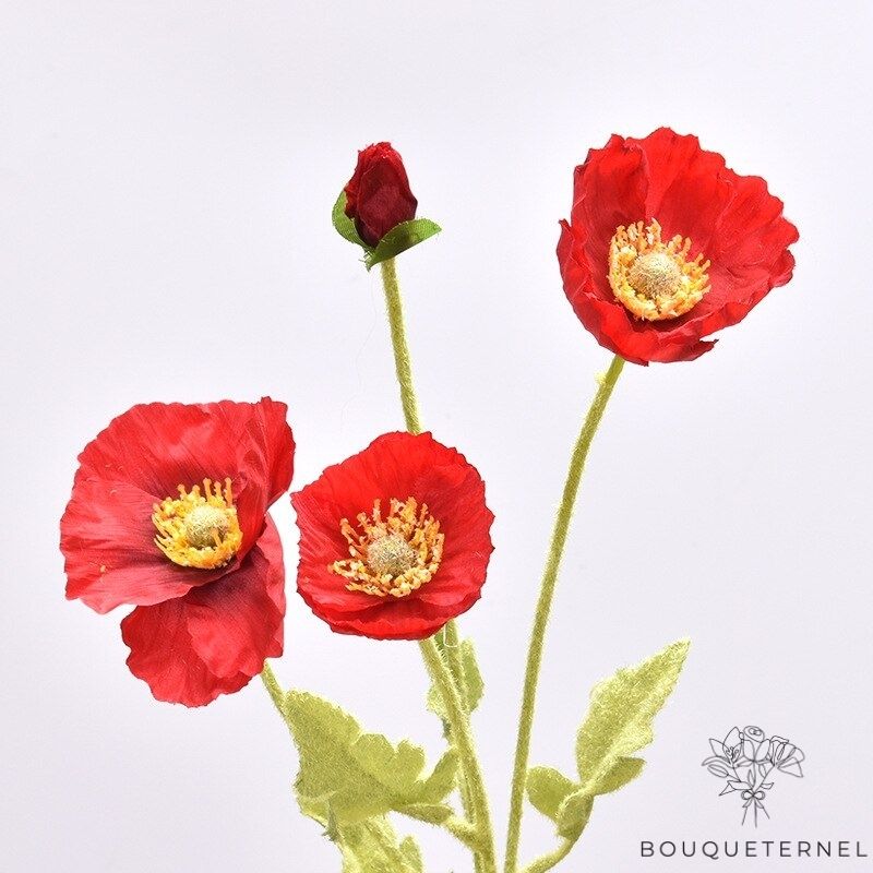 Coquelicots Apulum Artificiels
