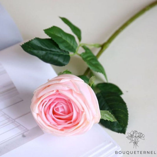 Fausse Rose Rose