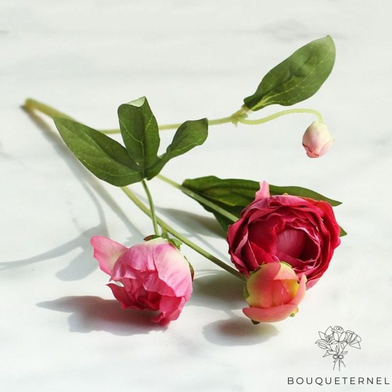 Fleur de Tombe Rose