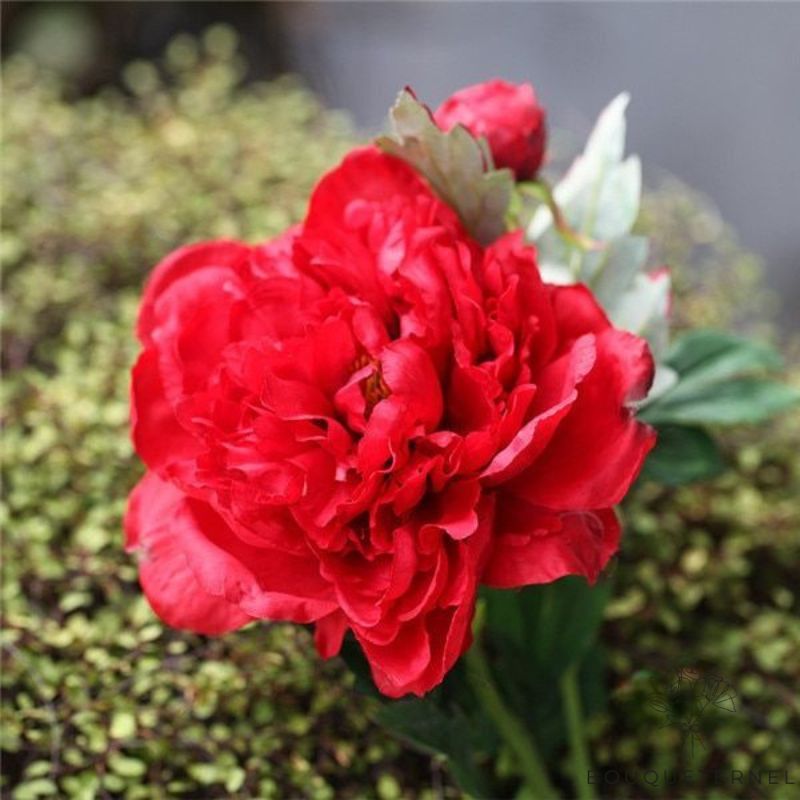 Fleur Tombale Rouge