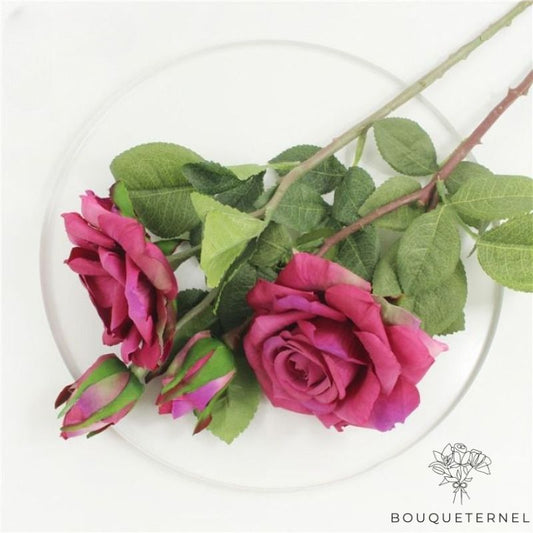 Fleurs pour les Tombes Rose