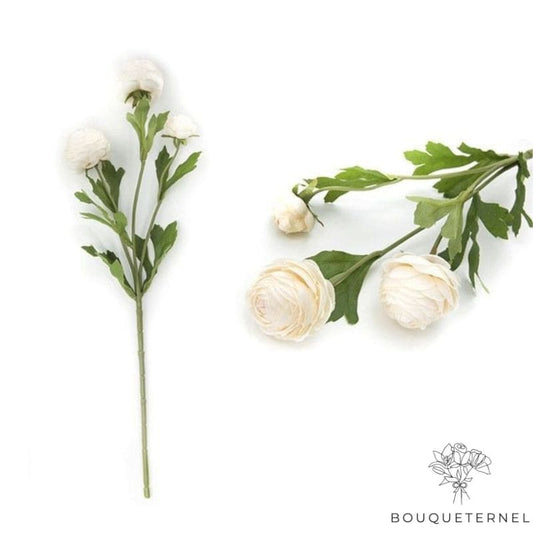 Fleurs de Toussaint pour Tombes Blanche