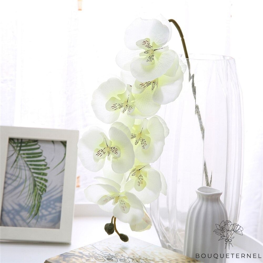 Orchidées Tetraspis Artificielles Blanche