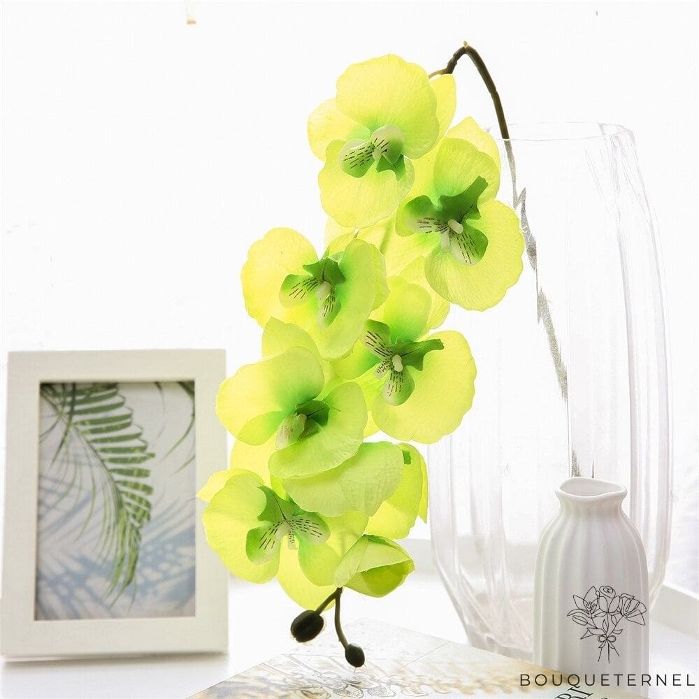 Orchidées Tetraspis Artificielles Verte