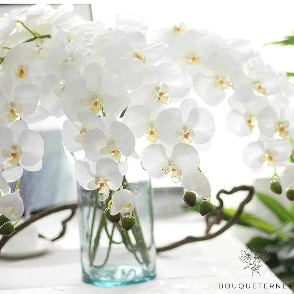 Orchidées Tetraspis Artificielles