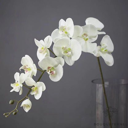 Orchidée Artificielle Grande taille Blanche
