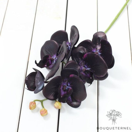 Orchidée Artificielle pour Décoration Noire