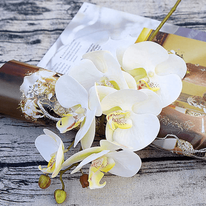Orchidées Speciosa Artificielles Blanche et Jaune