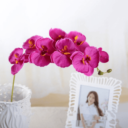 Orchidées Speciosa Artificielles Rose