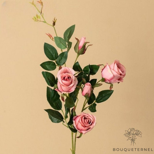 Rose pour Tombe Rose
