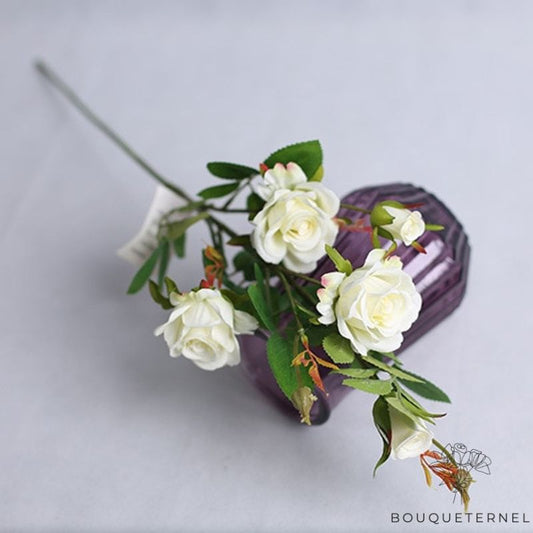 Rose de Soie Blanche Blanche