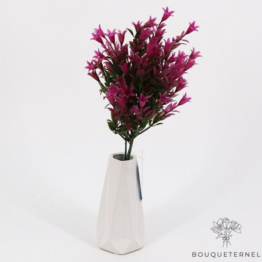 Fleur de la Toussaint Violette